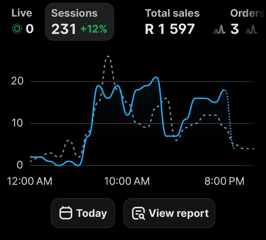 Derik’s operator dashboard showing R1,597 total sales, three orders and 231 sessions. Today is selected; the plotted graph measures sessions, not sales.